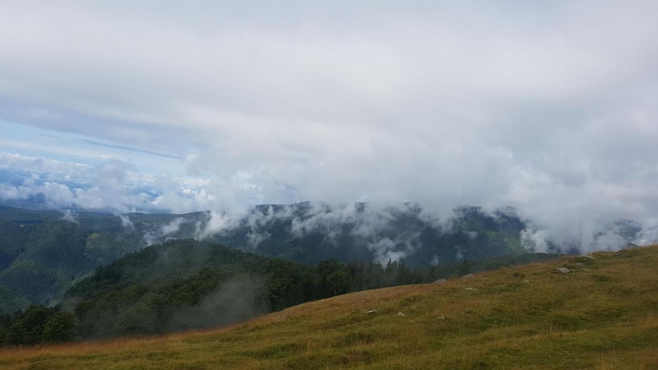 Alena Villa Ranca Buitenkant foto